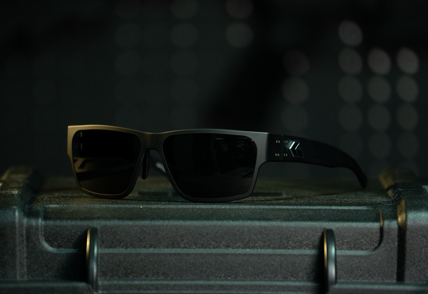 DELTA : Polarized